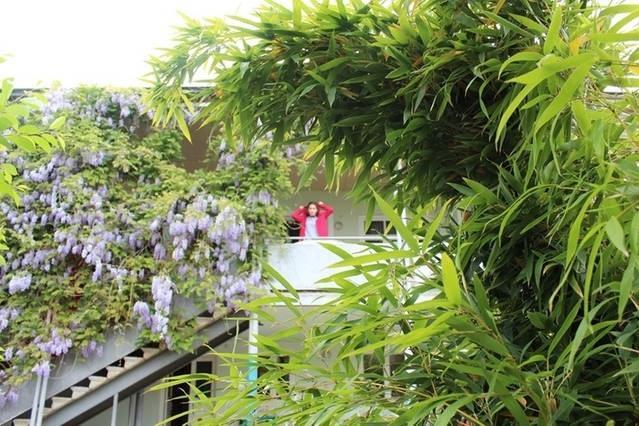 Guesthouse Natali เทลาวี ภายนอก รูปภาพ