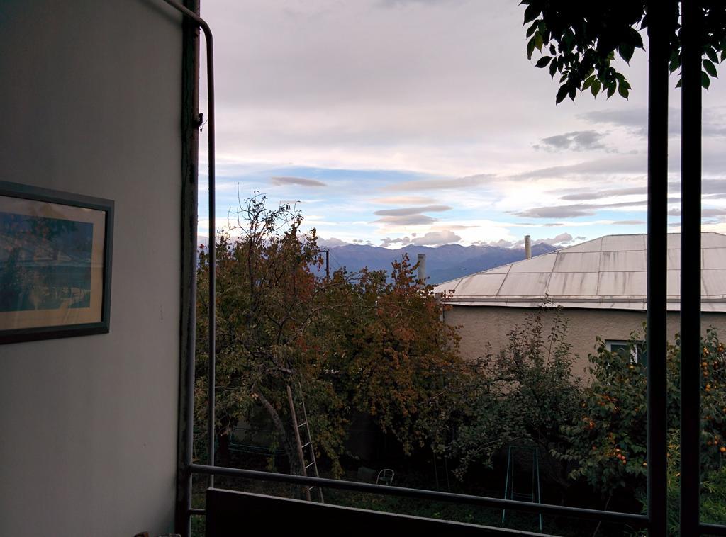 Guesthouse Natali เทลาวี ภายนอก รูปภาพ