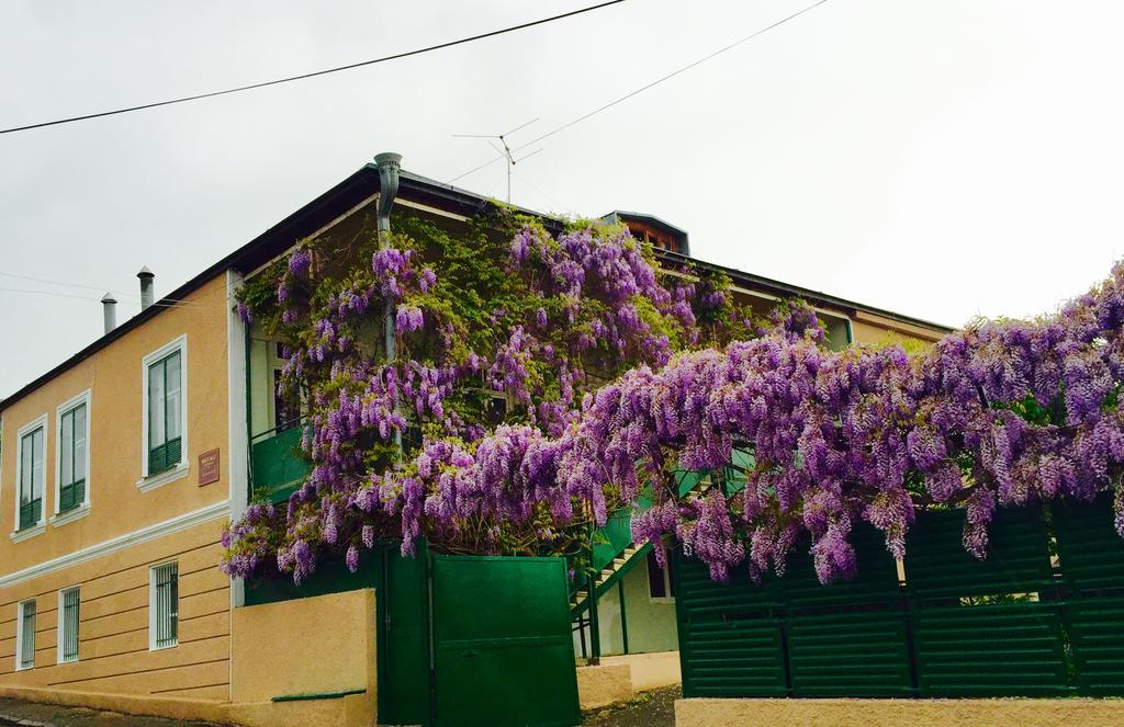 Guesthouse Natali เทลาวี ภายนอก รูปภาพ